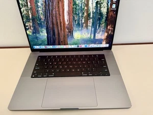 Apple MacBook Pro 14" (1TB SSD, M1 Pro, 16GB) Laptop - Space Gray - MKGQ3LL/A... - Photo 1/4
