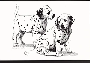 Impresión de perro dálmata Martha Van Loan numerada 2/500 1992 firmada 17 X 14 1992 (k - Imagen 1 de 2