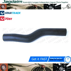 New Jaguar XJ12 Radiator Coolant Hose, Upper Right OE# GRH558 - Picture 1 of 1