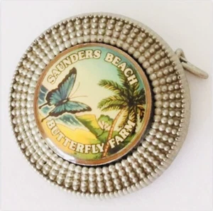 Insignia alfiler granja de mariposas de playa Saunders raro recuerdo vintage (G6) - Imagen 1 de 2