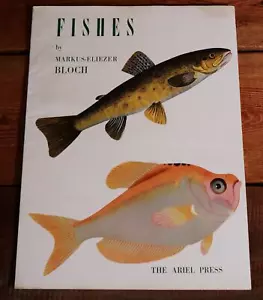 Fishes by Markus-Eliezer Bloch 1959 The Ariel Press  - Imagen 1 de 10