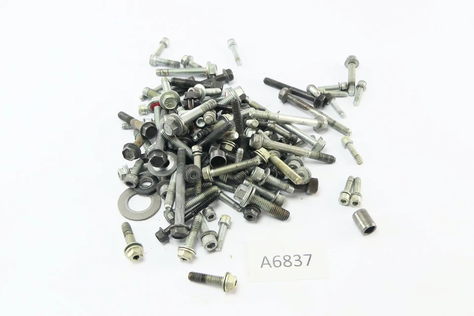 Harley Davidson Dyna FD2 FXDB 2008 - Tornillos de motor A6837 Foto 1 de 1