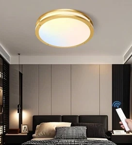 16inch 24W Gold Natural Light Spectrum LED Ceiling Light - Picture 1 of 8