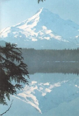 Mountain Nature Outdoors Thank You Expression of Sympathy Note Cards - Set of 18 - Image 1 of 3