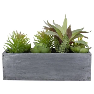 Northlight 12" Artificial Mixed Succulent Plants in a Rectangular Planter - Picture 1 of 5
