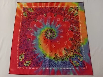 Pañuelo/bufanda bandana vintage Hav-A-Hank 21"x21" patrón Tie-Die RN 15187 Foto 1 de 4