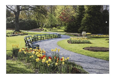 Póster adhesivo de belleza de estanque de jardín Vastu sin marco (24 X 48 pulgadas) Foto 1 de 3