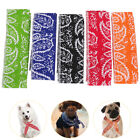 5 PCS Water Absorbing Resin Particles Pet Ice Cloth Dog Scarf