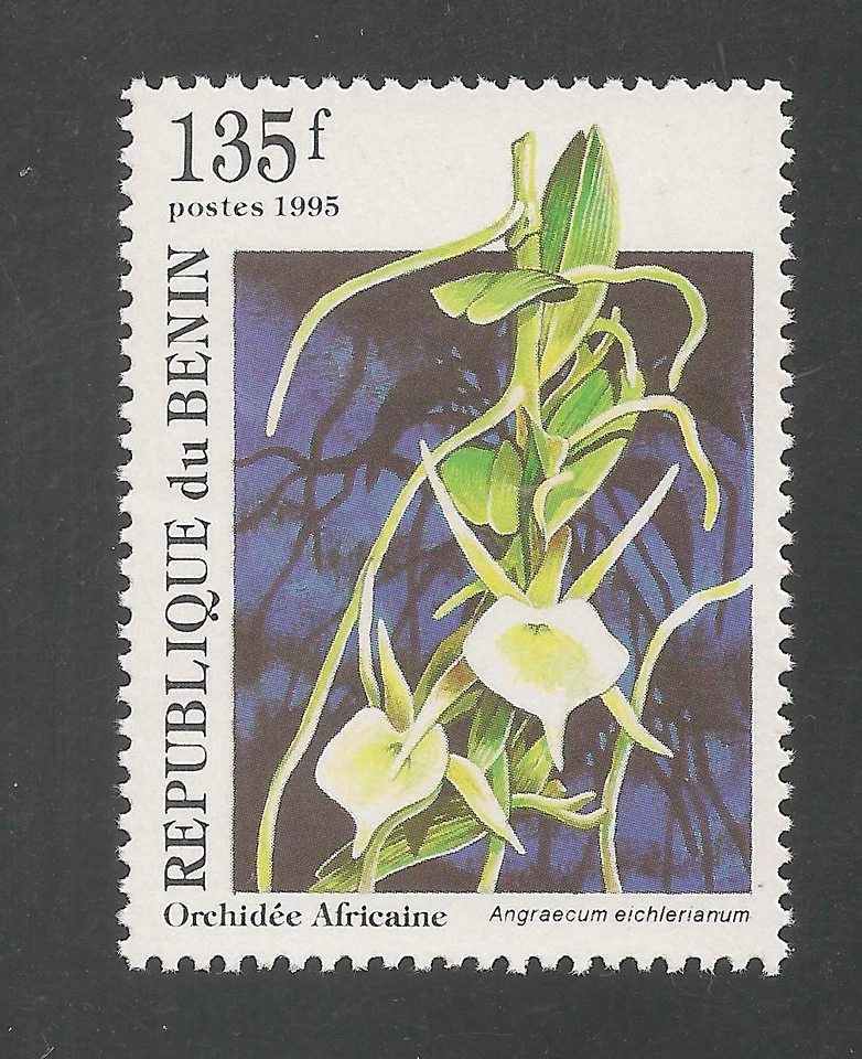 Benin #799 (A257) VF MNH - 1995 135fr Angraecum Eichlerianum Orchid - Image 1 of 1