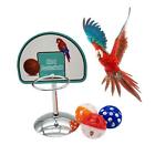 Bird Training Toys Parrot Toys Basketball Educational Toys Mini Balls with Bells