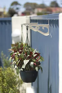 Andihooks Colorbond Fence Garden Hooks for Hanging Pot Basket & Planters - Picture 1 of 27