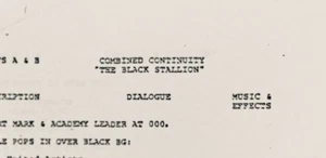 Walt Disney DER SCHWARZE HENGST kombinierte Kontinuitätsskript 1979 ca. / 97 Seiten - Bild 1 von 9