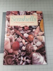 NEAR MINT SEASHELLS TREASURES FROM THE SEA By N R Gordon sea shells - Imagen 1 de 12