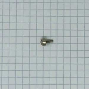 Stop Arm Retaining Screw, Bach, Conn, & King, French Horn & Trombone, 1 each - Picture 1 of 2
