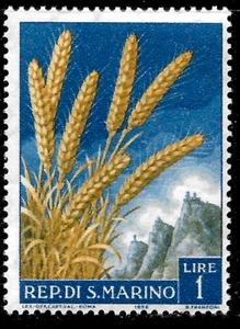 SAN MARINO 1958 Sass. #480 MNH**OG Grano! - Foto 1 di 1