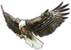 Bald eagle black American flag large Decal 48" in size - Picture 1 of 2