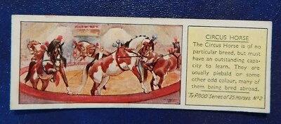 CIRCUS HORSE No2 TYPHOO TEA VINTAGE TRADE CARD 1938 - Image 1 of 2