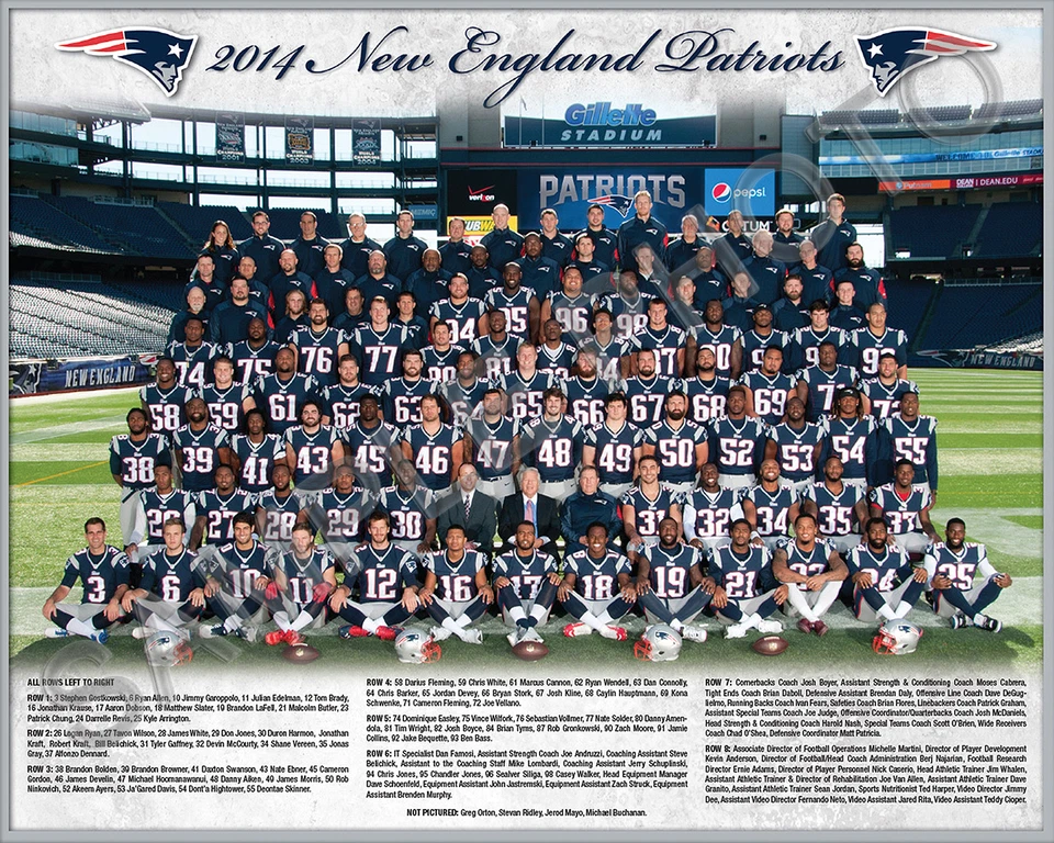 Foto del equipo 8x10 New England Patriots Super Bowl 49 Champions 2014 Foto 1 de 1