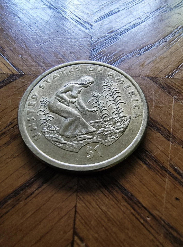 Moneda de dólar de oro Sacagawea nativo americano 2009-D - RARA Foto 1 de 4
