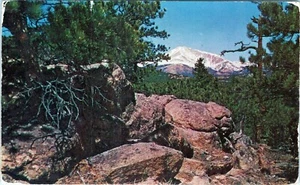 Longs Peak Colorado Postcard Denver to Ny 1954 Posted - Picture 1 of 2