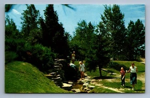Postcard Vtg Michigan Roadside Spring Restful And Refreshing Spot - Bild 1 von 2