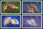 Bermuda 419-422,lightly hinged.Michel 408-411. Shells 1982.Conus,Bursa,Sconsia,