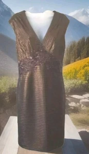 TADASHI SHOJI Size Small Bronze Metallic Body Con Dress Lace Trim Waist Stretch - Picture 1 of 12