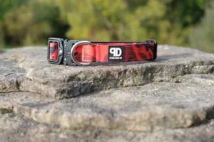 2.5cm Tactical Dog Collar 14"-18" High Quality Puppy/Small Breed Pure Dog K9 - Picture 1 of 15