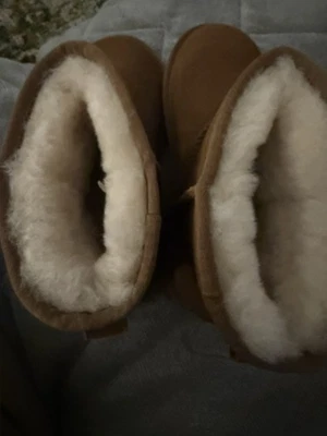 Ever Australia Ugg Boots NWT - Image 1 of 4