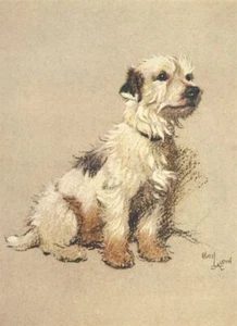 Cecil Aldin Terrier Dog Photo Print A Dozen Dogs or So Wall Art Picture - Picture 1 of 6