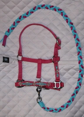 STRASS MINISHETTY Schmuckhalfter HALFTER FÜHRSTRICK MiniShetland Pony HOLZPFERD  - Bild 1 von 2