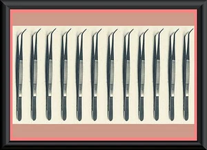 12 alicates de aderezo de algodón universitario de 6" instrumentos dentales de acero inoxidable premium - Imagen 1 de 1