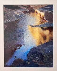 ELIOT PORTER "Fiume bordo al tramonto, sotto Piute Rapids" (1962) Firmato Stampa C - Foto 1 di 10