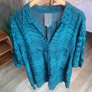 Blusa túnica Johnny Was para mujer talla XXL TALLA GRANDE verde bordada Lagenlook - Imagen 1 de 8