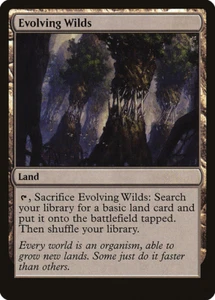 MTG 2015 EVOLVING WILDS - LAND - Magic the Gathering card - Picture 1 of 2