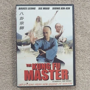 THE KUNG FU MASTER - Hong Kong RARE Kung Fu Martial Arts movie - DVD - Picture 1 of 5