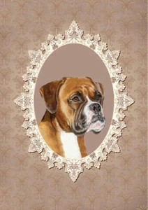 BOXER CHARMING DOG GREETINGS NOTE CARD BEAUTIFUL HEAD STUDY - Picture 1 of 1