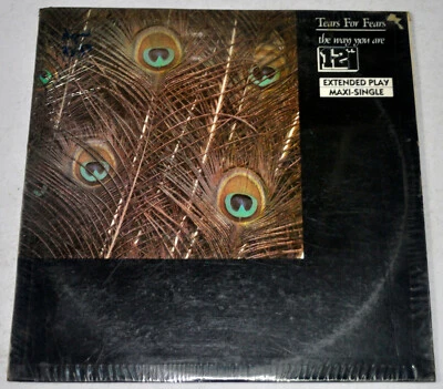 Philippines TEARS FOR FEARS The Way You Are 12" EP Vinyl Record - Image 1 of 2
