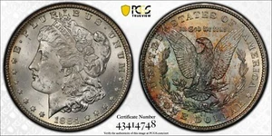 1884 CC Morgan Silberdollar PCGS MS63+ - Carson City neuwertig - siehe Video - Bild 1 von 9