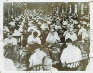 1986 Press Photo Workers roll cigars in a Tampa, Florida factory - afx11848 - Picture 1 of 2