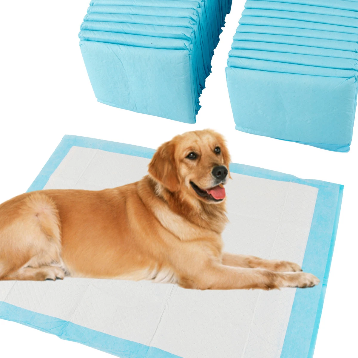 PET AWESOME Welpen Pads 58,4 X 40,6 Cm - Saugstarke Unterlagen Für Kleine & Mittlere Hunde