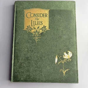 Consider the Lilies - Vintage 1927 Illustrated Hardcover - Foto 1 di 10