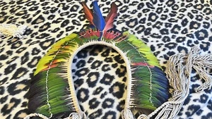 Headdress feathersNo Artificial Colors Vintage Authentic Amazon Indians - Picture 1 of 7