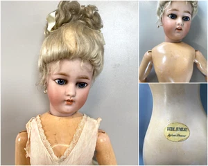 ANTICA BAMBOLA Simon & Halbing Size 7 BISQUE HEAD WOODEN BODY DOLL 56cm/h '800 - Foto 1 di 22
