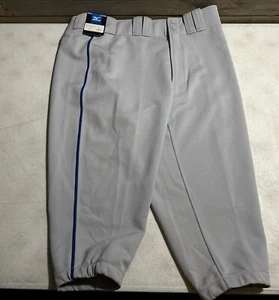 Mizuno Pro Gray Royal Blue Piped Short Baseball Pants Mens XL New Tags - Picture 1 of 7