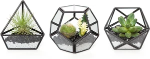 4 in. Mini Glass Geometric Terrarium Container Set of 3 Modern Tabletop Planter - Picture 1 of 12