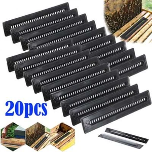 20Pcs Plastic Small Bee Hive Beetle Blaster Beehive Beetle Traps Beekeeping Tool - Picture 1 of 13