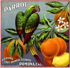 Pomona Los Angeles County The Parrot Bird Orange Citrus Fruit Crate Label Print