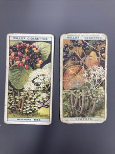 Wills’s Cigarette Card - Flowering Trees & Shrubs series - #18 & 46