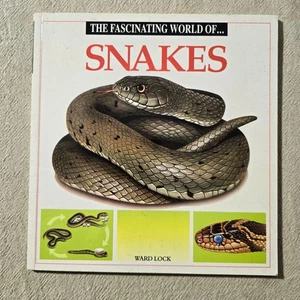 The Fascinating World of Snakes by Maria Angels Julivert - Paperback - Bild 1 von 2
